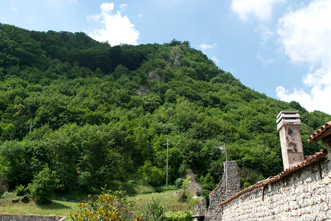 660x440_Natura_4.jpg